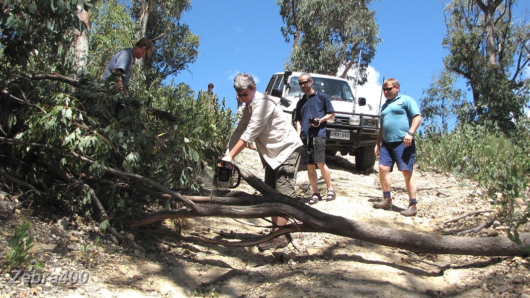 05-Heidi makes light work of a fallen tree while Ryan & Mark watch on.JPG - 05-Heidi makes light work of a fallen tree while Ryan & Mark watch on